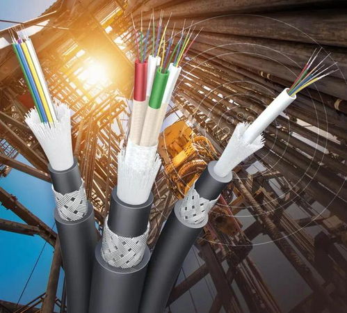 阳尔船用网线与光缆成功获得LR型式认可证书，助力船舶通信技术升级